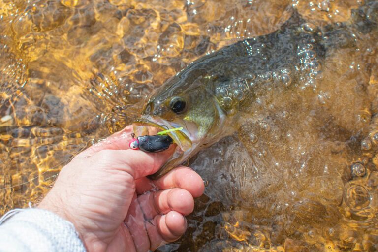 seasonal fishing guide gravois creek spring fishing missouri waters summer catfish fishing ozarks fall bass fishing lake ozarks lake ozarks professional fishing guides